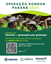 Operação Rondon abre inscrições até 12 de maio para estudantes de graduação e de pós