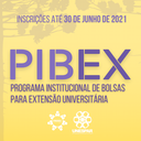 REDES- pibex.png