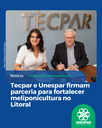 Tecpar e Unespar firmam parceria para fortalecer meliponicultura no Litoral